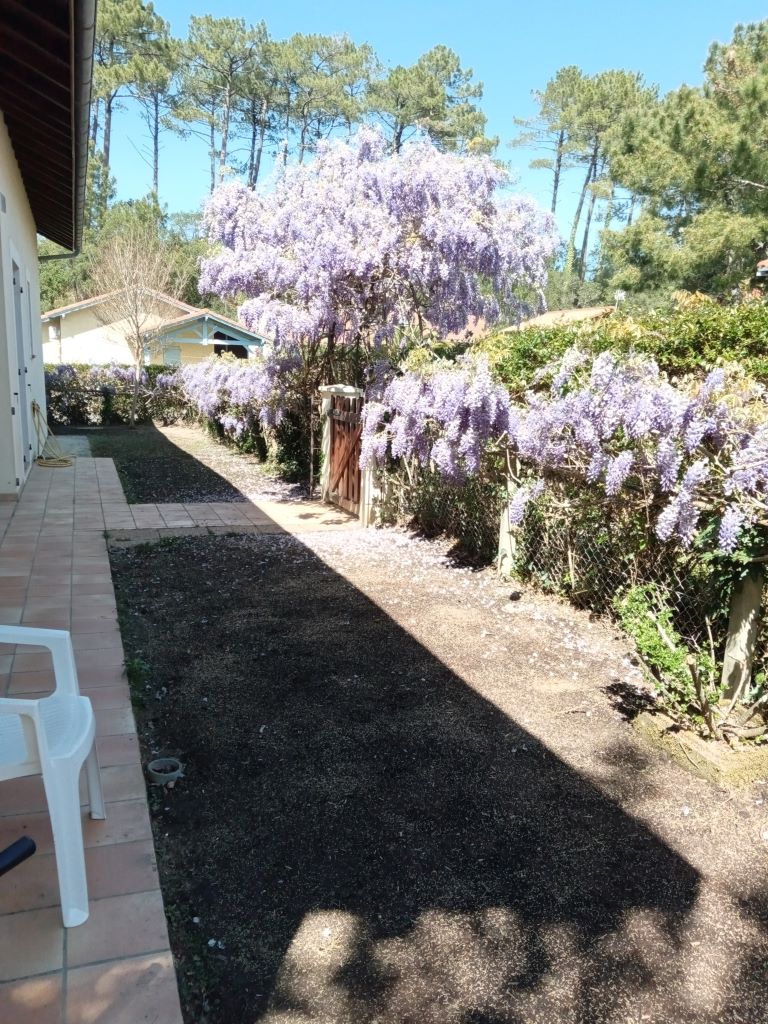 RiusMaison Rius_Messanges_Landes Atlantique Sud