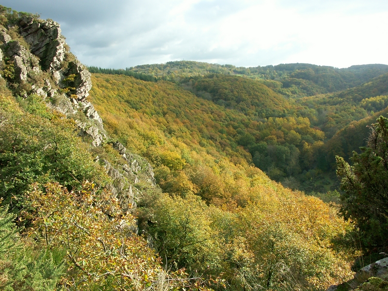 LabadilleRoche d'Oëtre