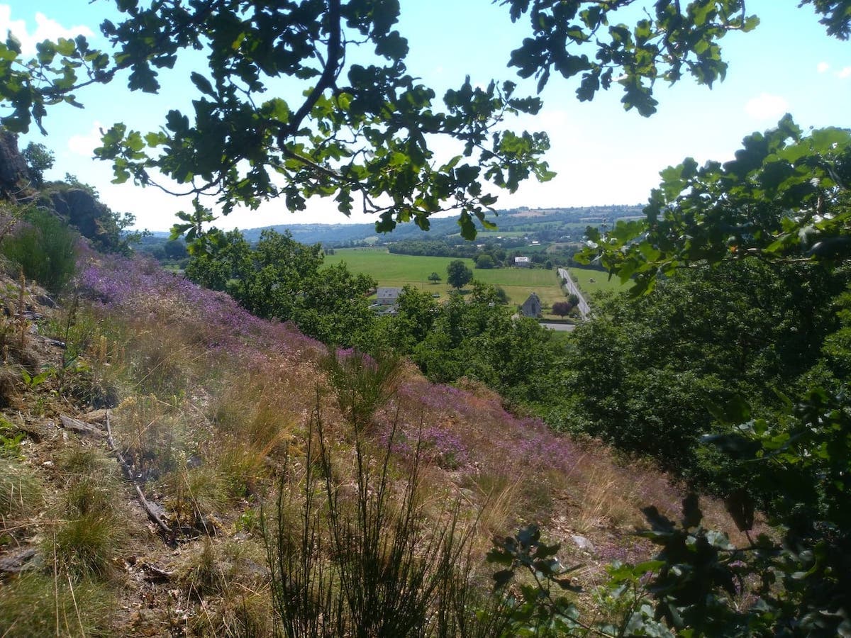 CPIE Vallée de l'OrneRochers des Parcs
