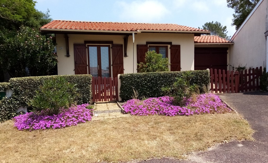 RollinMaison Rollin_Moliets_Landes Atlantique Sud