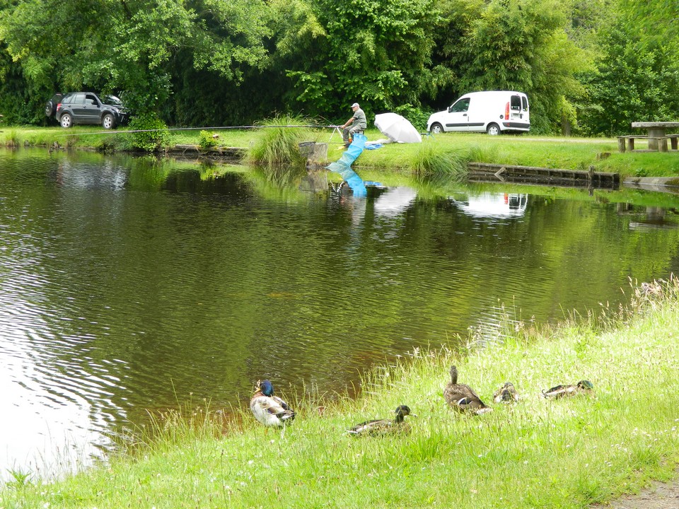 ©otlaSaint Foy - Etang - Canard - Pêche - Nature