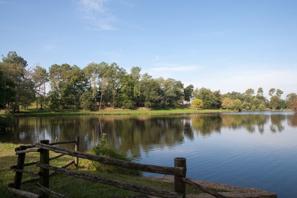 ©otlaSaint Foy - Etang - Nature (4)