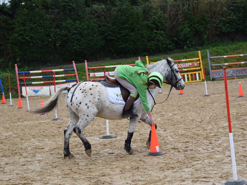 PROPRIETAIREsaint-lo-centre-equestre-le-picotin-4