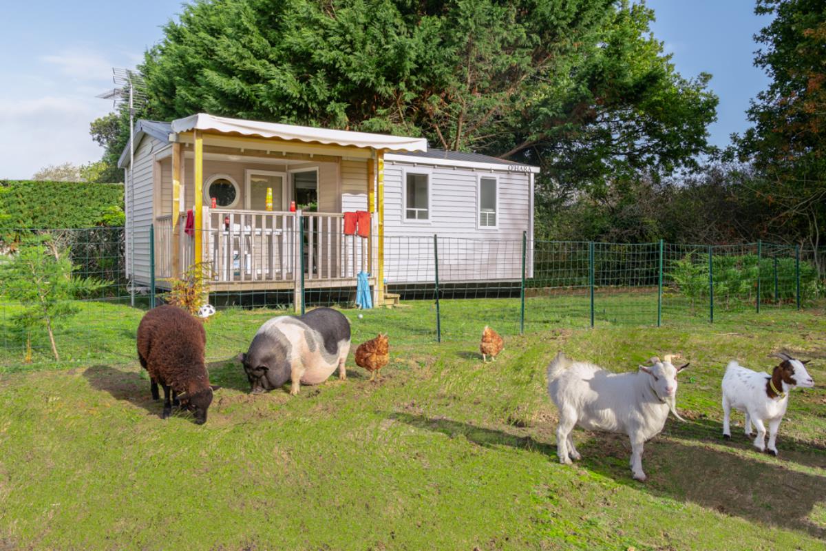 propriétairesaint-lo-d'ourvil-camping-les-carolins-dessoliers-5