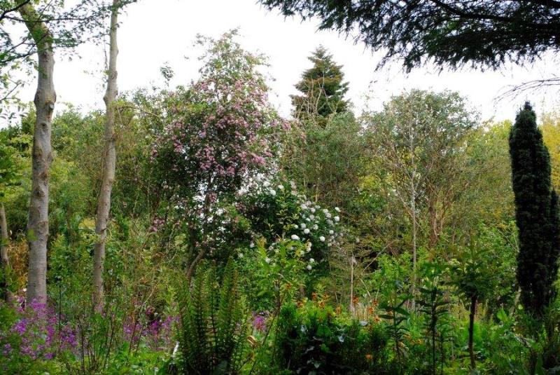 PROPRIETAIREsaint-pellerin-jardin-blom-myraland-2