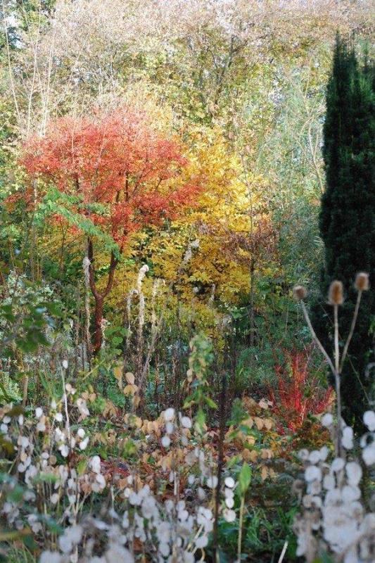 PROPRIETAIREsaint-pellerin-jardin-blom-myraland-3