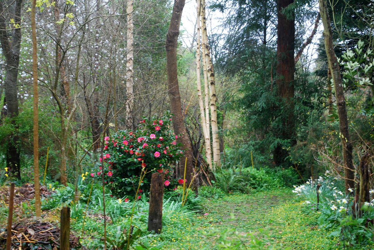 PROPRIETAIREsaint-pellerin-jardin-blom-myraland-4