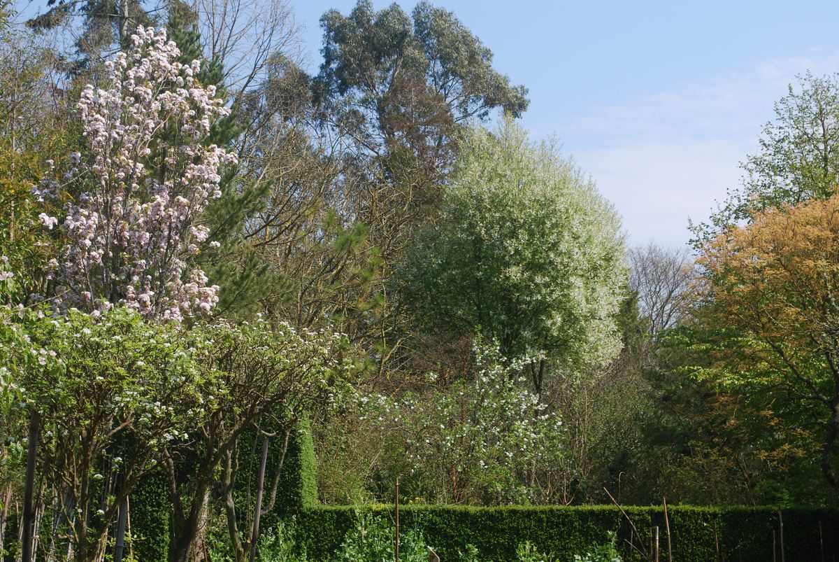 PROPRIETAIREsaint-pellerin-jardin-blom-myraland-5