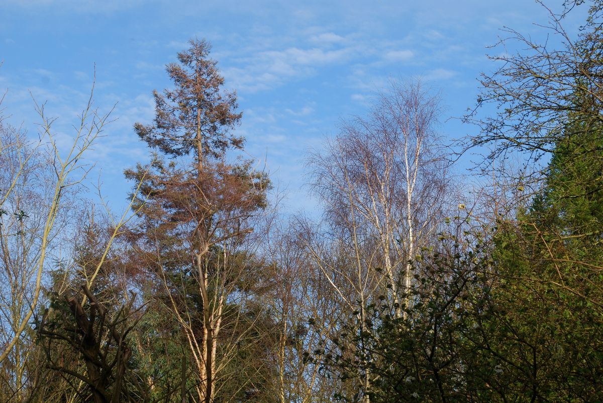 PROPRIETAIREsaint-pellerin-jardin-blom-myraland-7