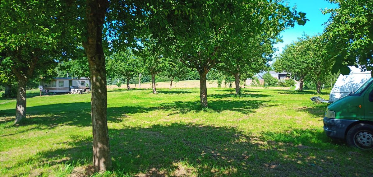 ©Ferme de la BinolaisSaint-Senier-de-Beuvron_Camping_a_la_Ferme_de_la_Binolais