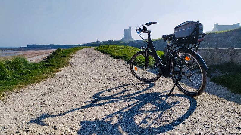 PROPRIÉTAIRESaint-Vaast-la-Hougue - Les vélos de Saint-Vaast - 3