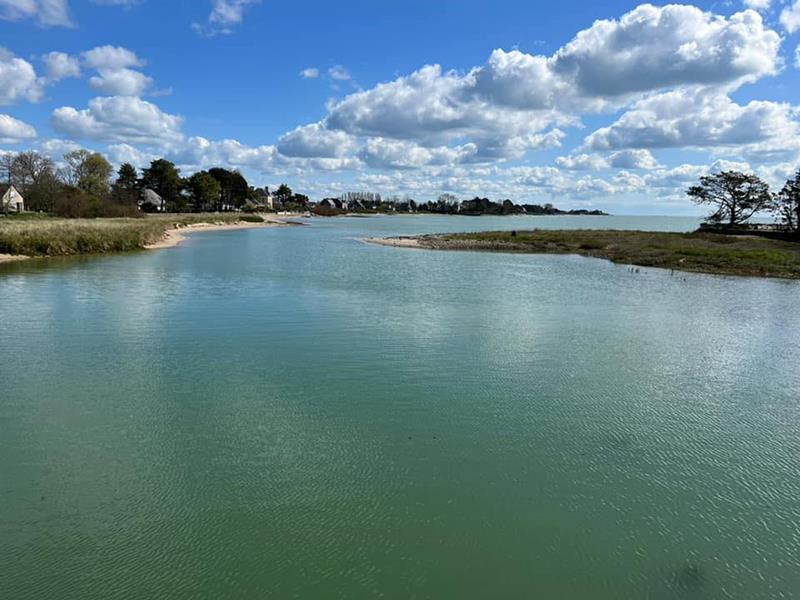PROPRIÉTAIRESaint-Vaast-la-Hougue - Les vélos de Saint-Vaast - 6