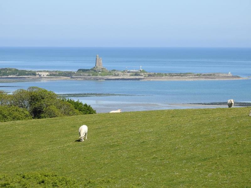 PROPRIÉTAIRESaint-Vaast-la-Hougue - Les vélos de Saint-Vaast - 7
