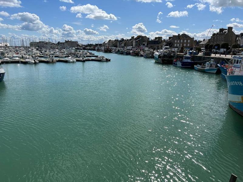 PROPRIÉTAIRESaint-Vaast-la-Hougue - Les vélos de Saint-Vaast - 8