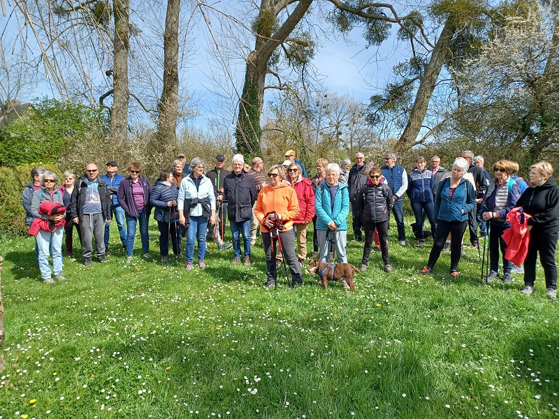 LES RANDONNEES MONTOISESsainte-marie-du-mont-randonnees-montoises-2