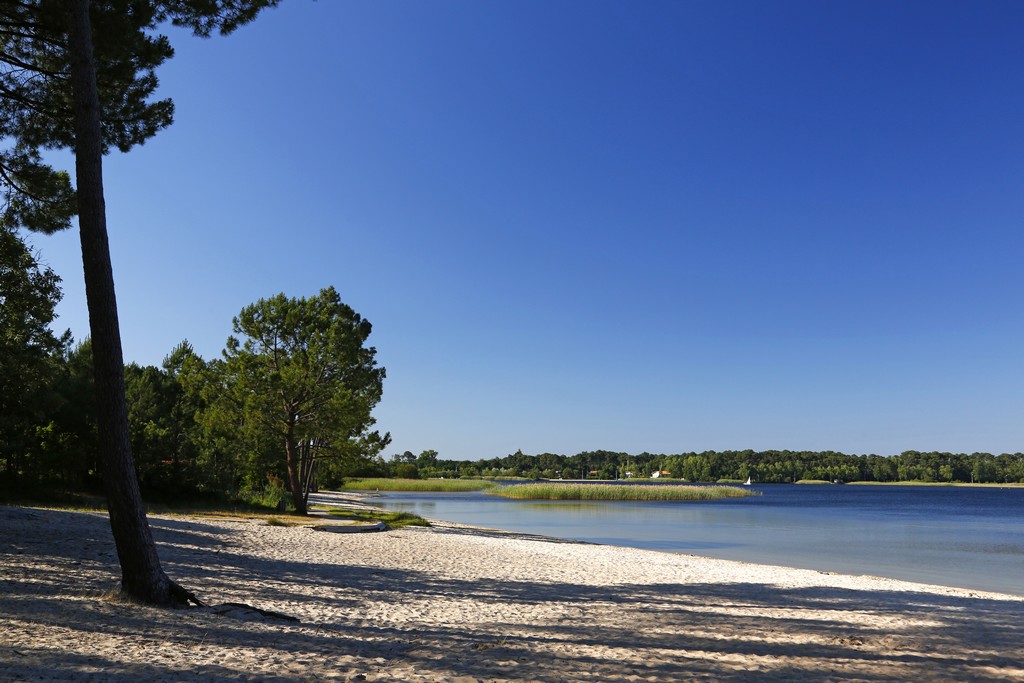 ssanguinet-vacheron©-lac