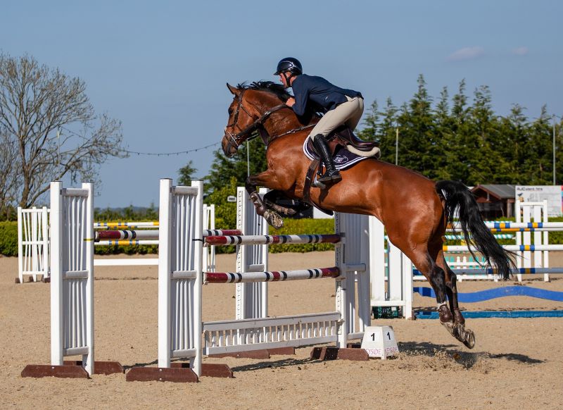 Kev - Pixabaysaut-obstacle-cheval-loches-valdeloire