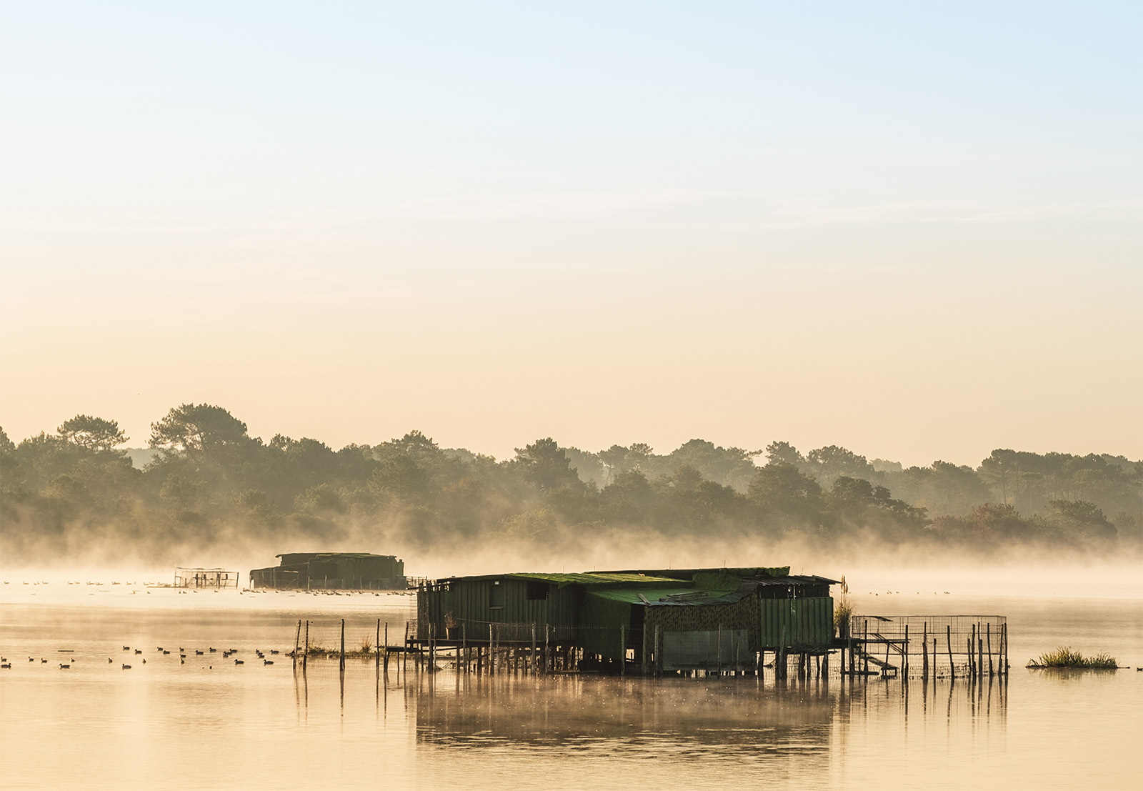 landes atlantique sudSeignosse - Etang Blanc
