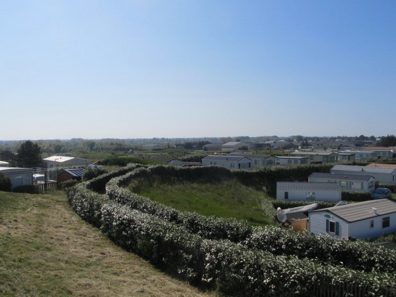 Senequetsénéquet 4