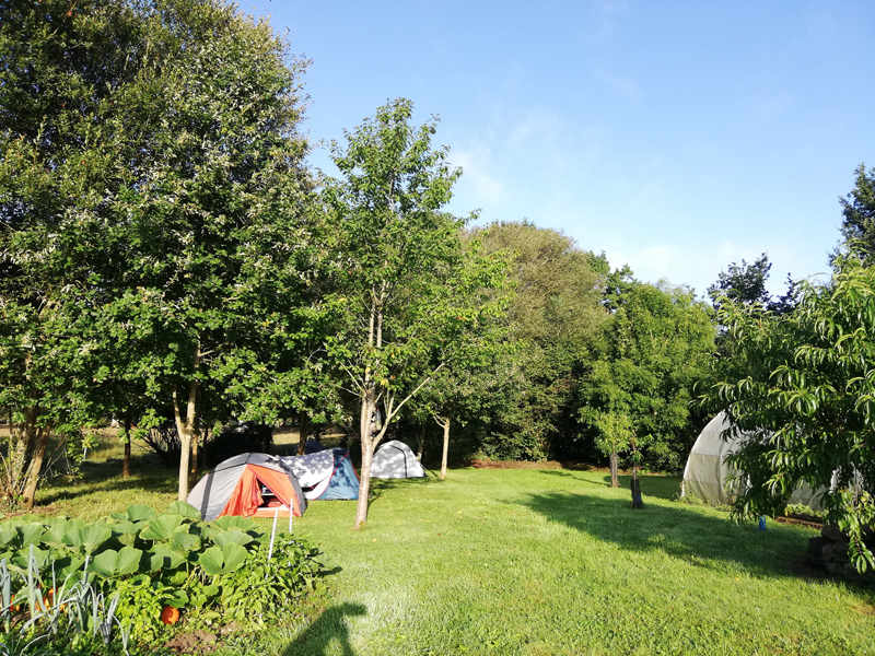 ROYER 2024servon-camping-chez-l-habitant (2)