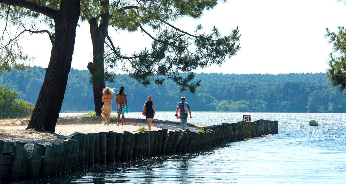 la reservesiblu-la-reserve-gastes-lac-landes
