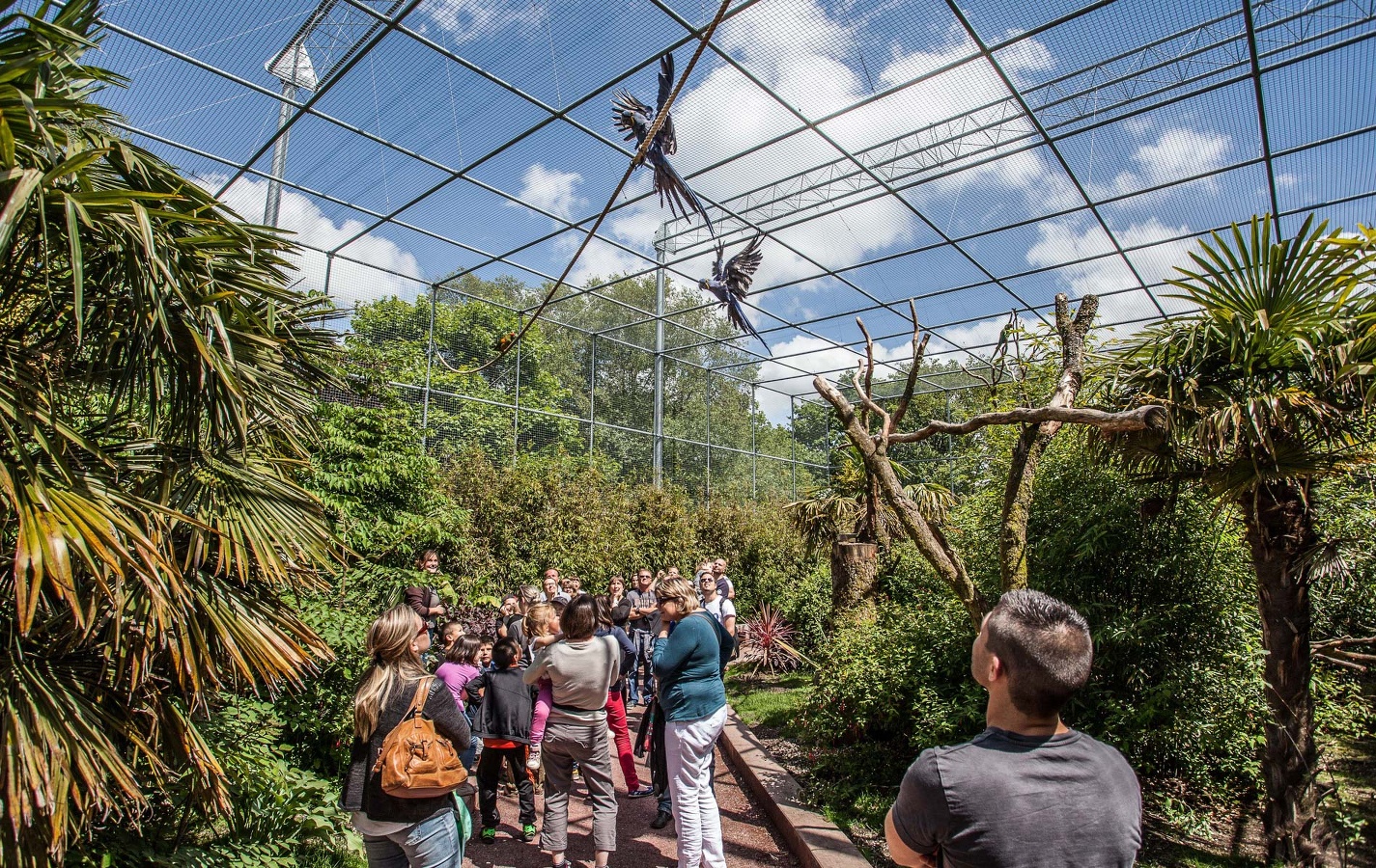 Zoo de JurquesVolière tropical