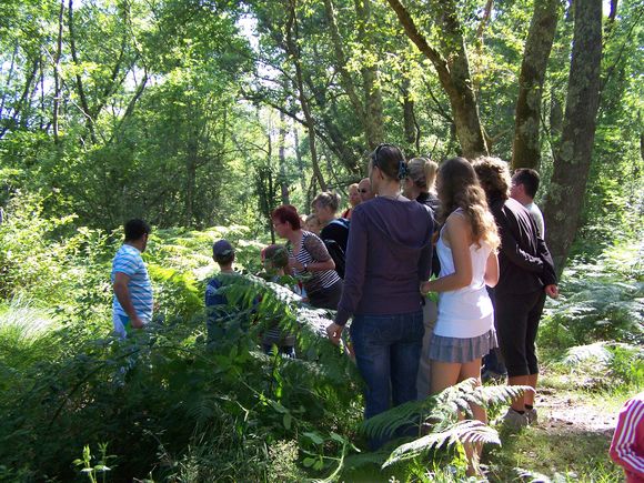 © OIT mimizanSortie nature 2