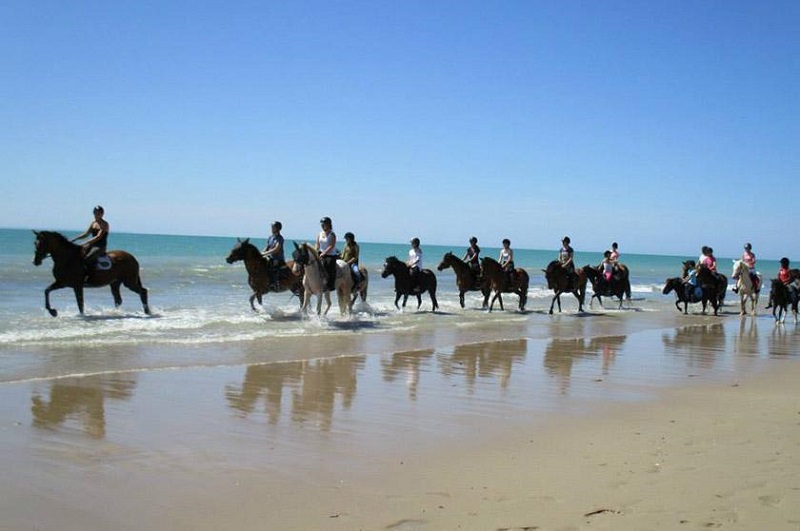 ecuries de Pirousortie-plage-ecuries-pirou