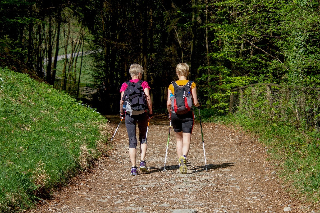 Pixabaymarche nordique foret