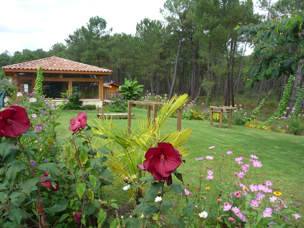 Camping Landes OcéanesSt-Michel-Escalus-Camping-Landes-Oceane--salle-fitness