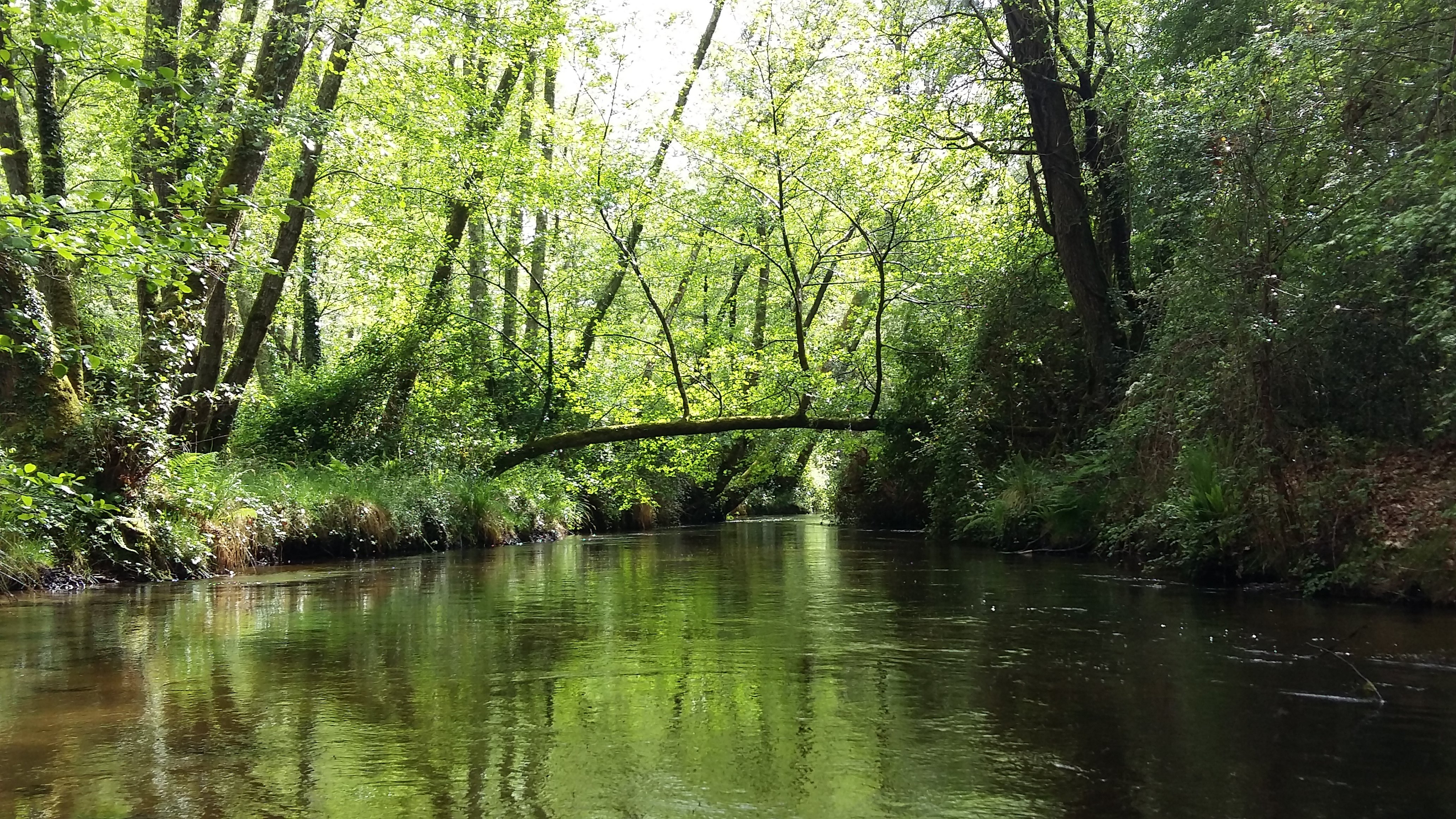 GeyerSt-Michel-Escalus_Canoe Land (2)