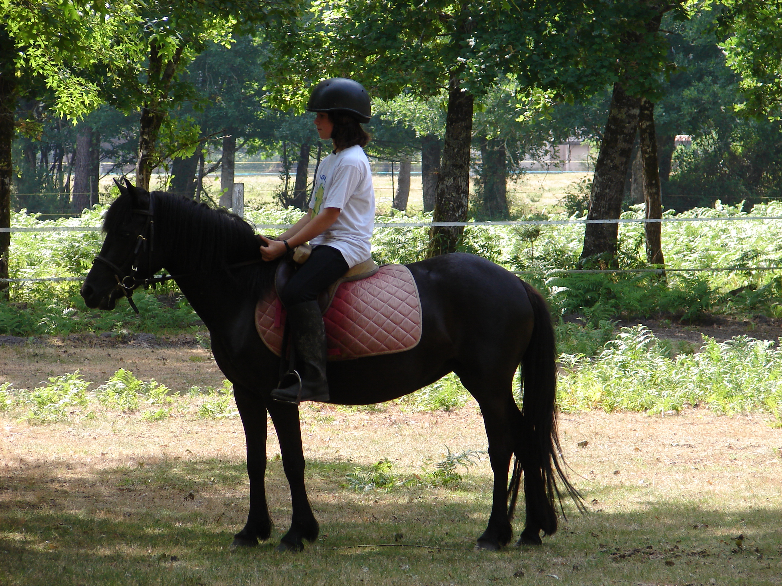 JeansonSTJU_Poney club Grand Lio