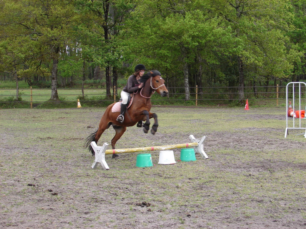 Poney Club du Grand LioSTJU_Poneyclubgrandlio_BD (2)