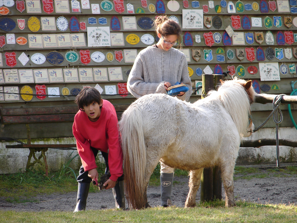 Poney Club du Grand LioSTJU_Poneyclubgrandlio_BD (4)