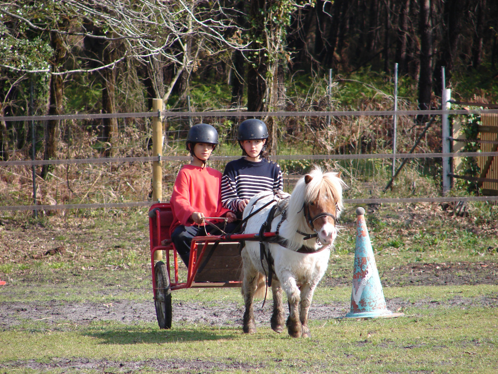 Poney Club du Grand LioSTJU_Poneyclubgrandlio_BD (5)