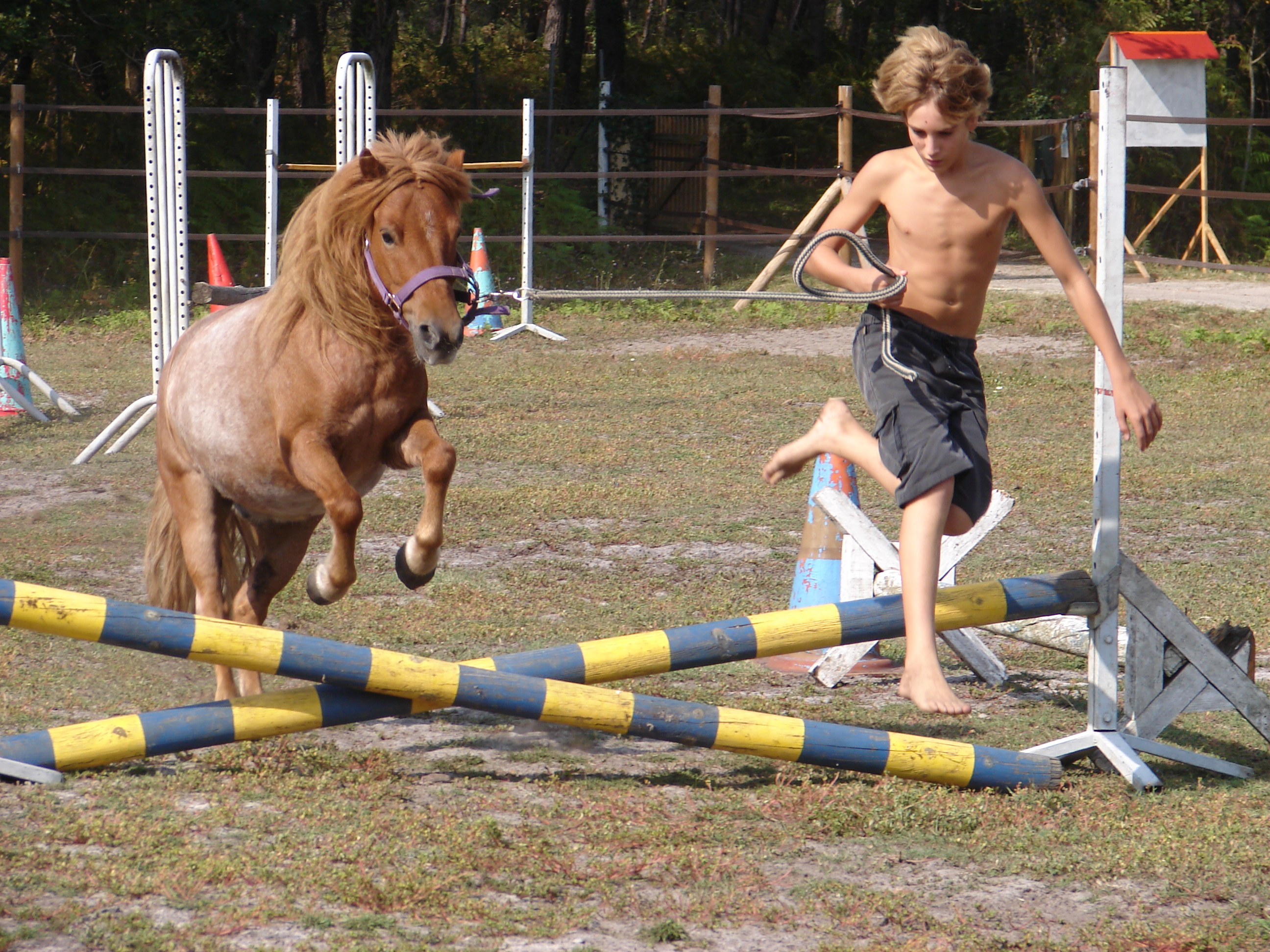 Poney Club du Grand LioSTJU_Poneyclubgrandlio_BD (6)