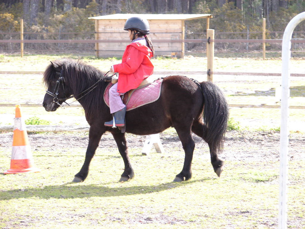 Poney Club du Grand LioSTJU_Poneyclubgrandlio_BD (8)
