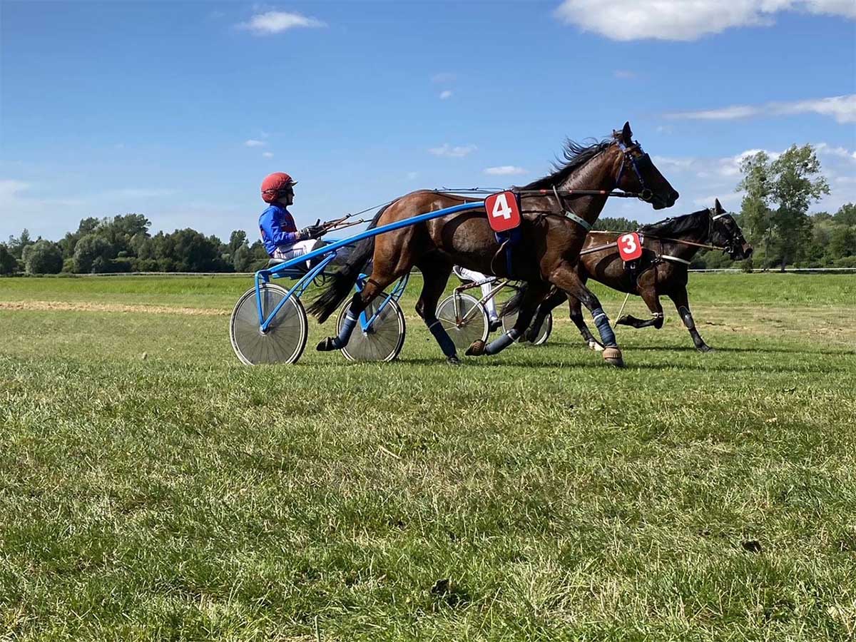 Ecurie Trot à Poney 14sulky
