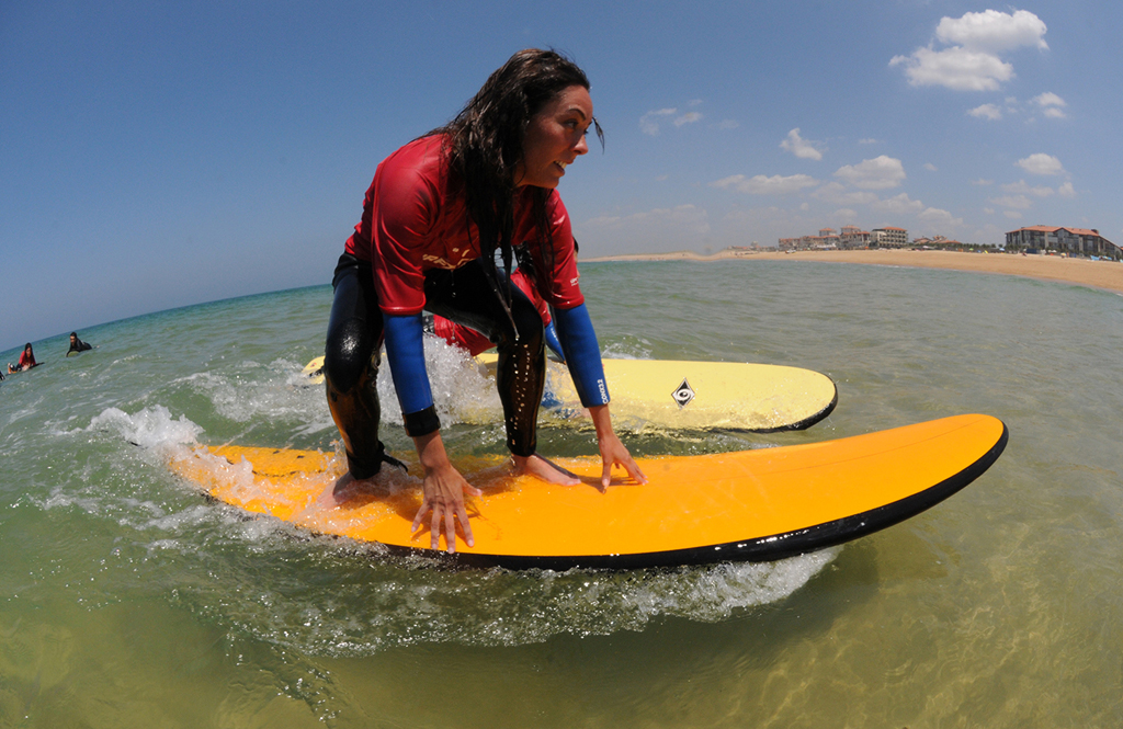 Surftripsurf-trip-j