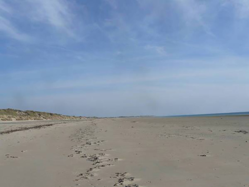 CDT50surville-plage
