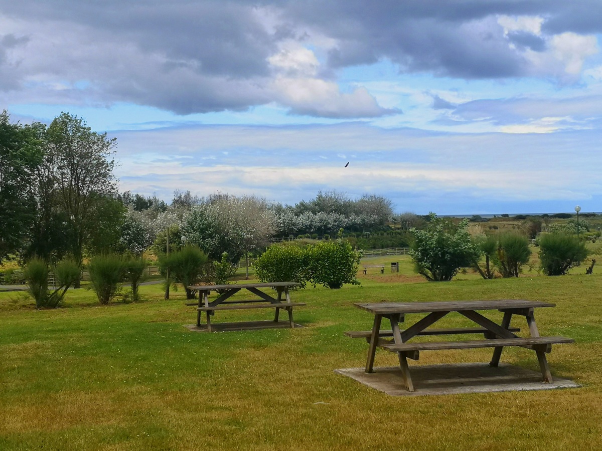 Claire Salmeron-TendronTABLES-PIQUE-NIQUE-PARC-DE-L-EDIT-COURSEULLES-SUR-MER-CREDIT-CLAIRE-SALMERON-TENDRON