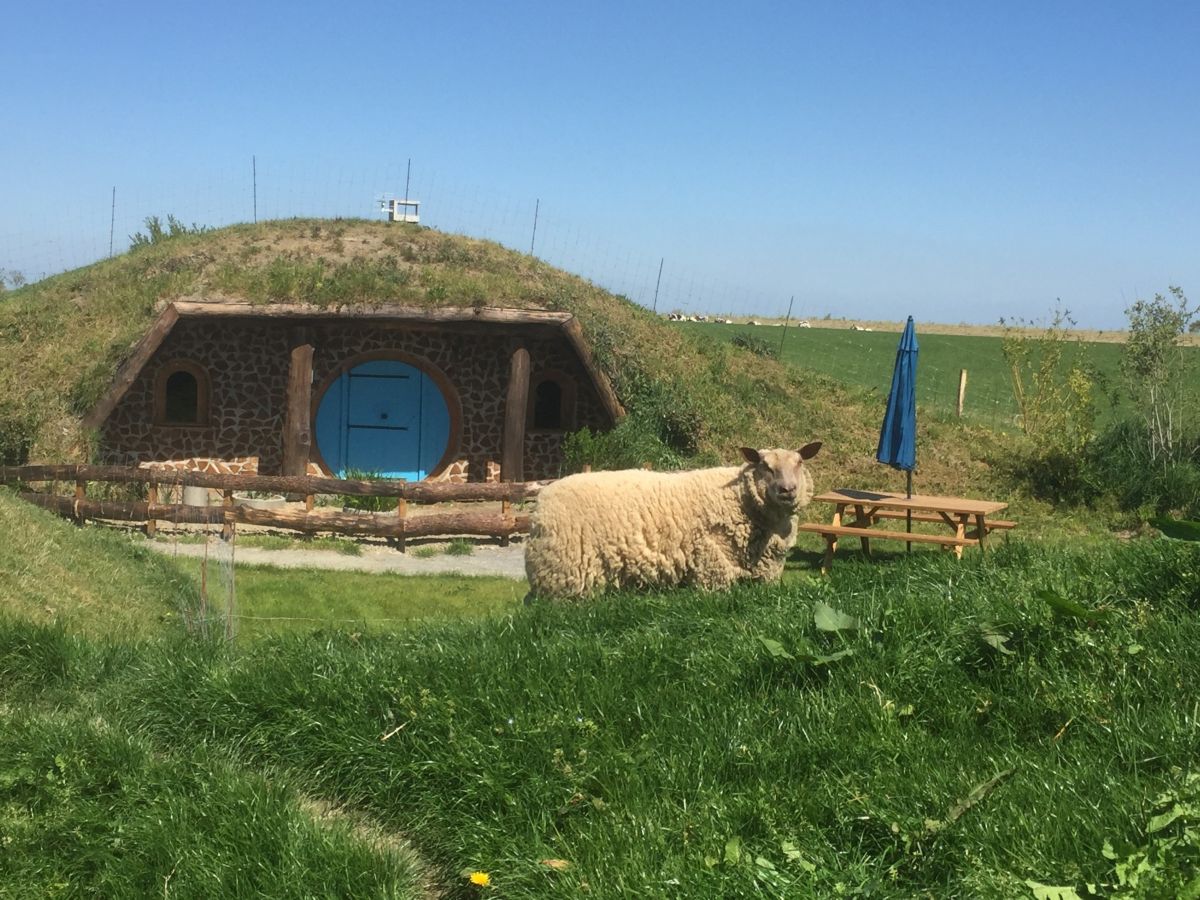 TeurterieTanis_Hobbit_Bois_de_Bouc1