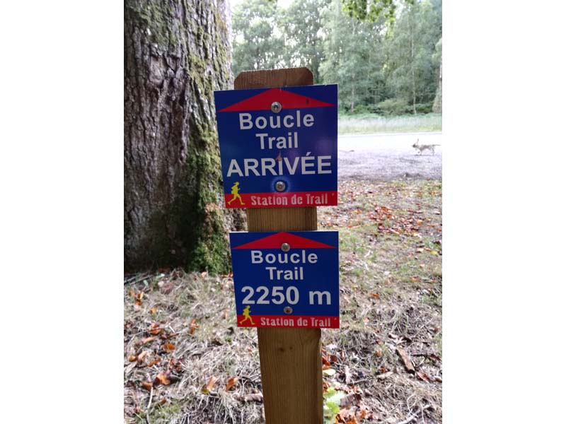 ©Orne TourismeStation de trail du massif d'Ecouves
