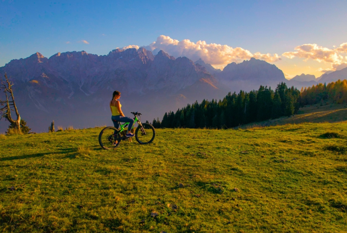 Chien vélo et montagne
