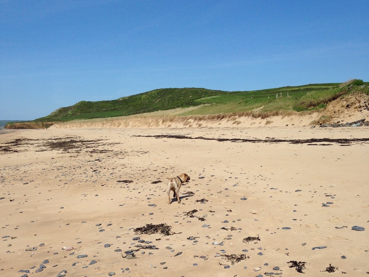 Lisa DOSSMANNtréauville-plage platé-lisa dossmann-2