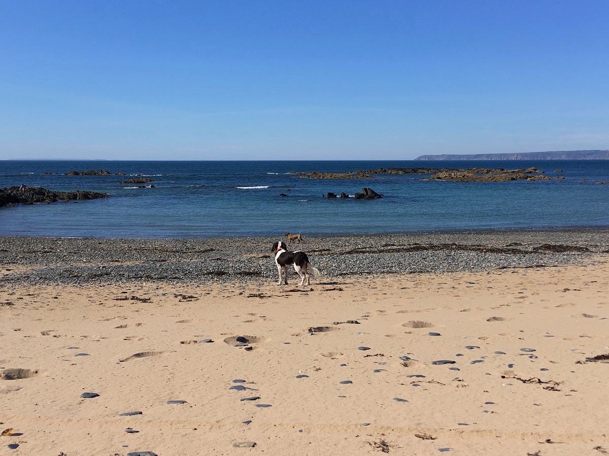 Lisa DOSSMANNtréauville-plage platé-lisa dossmann-3