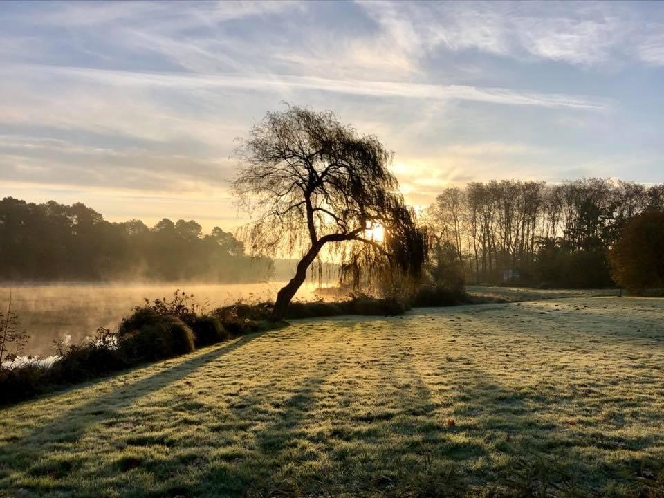 ©Domaines de Lur SalucesUza_La Forge d'Uza_Vue Lac