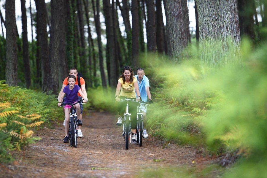 lagrangevelo-foret-famille-biscarrosse