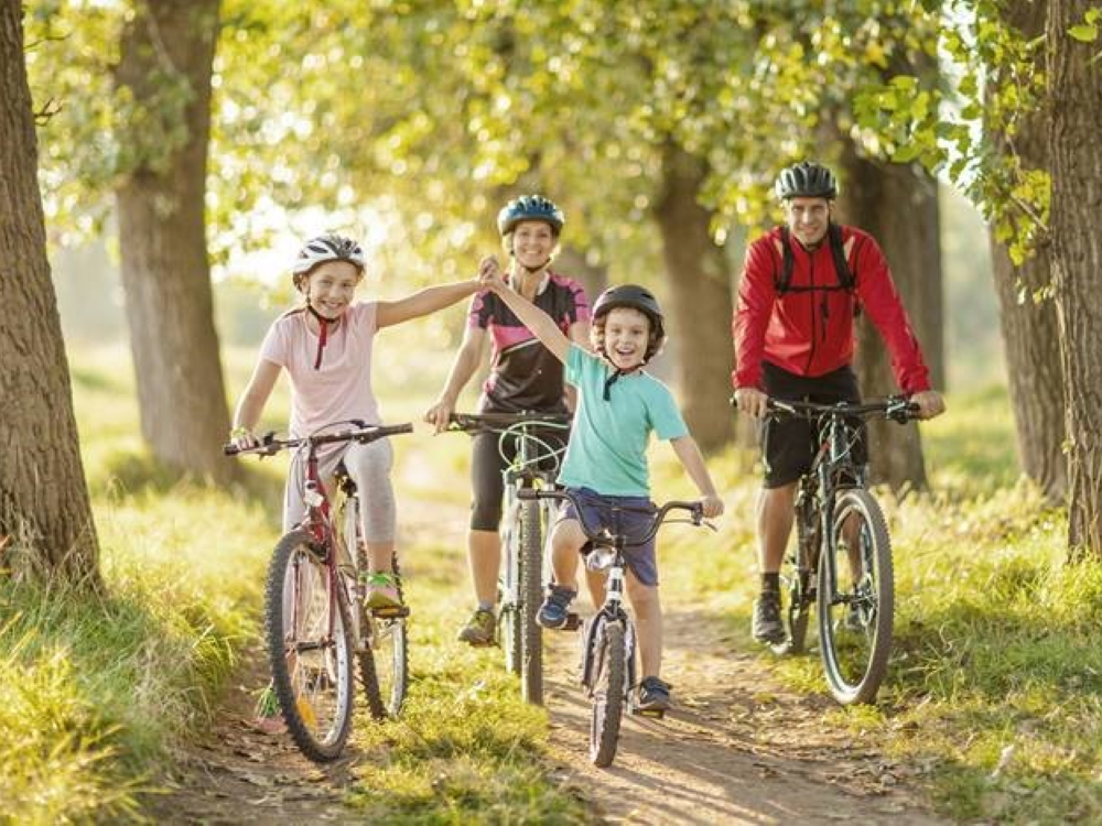 Vélo-livré.comVélo-livré.com