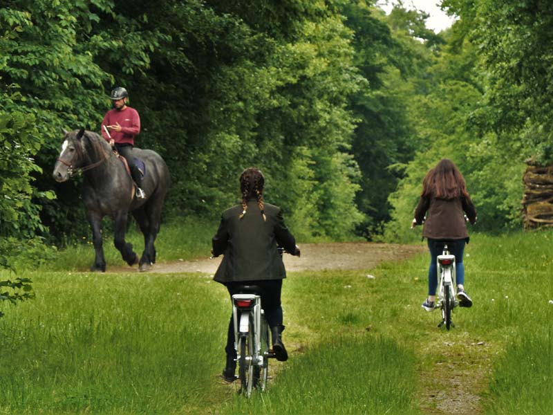 ©Haras du PinLocation de vélos au Haras du Pin